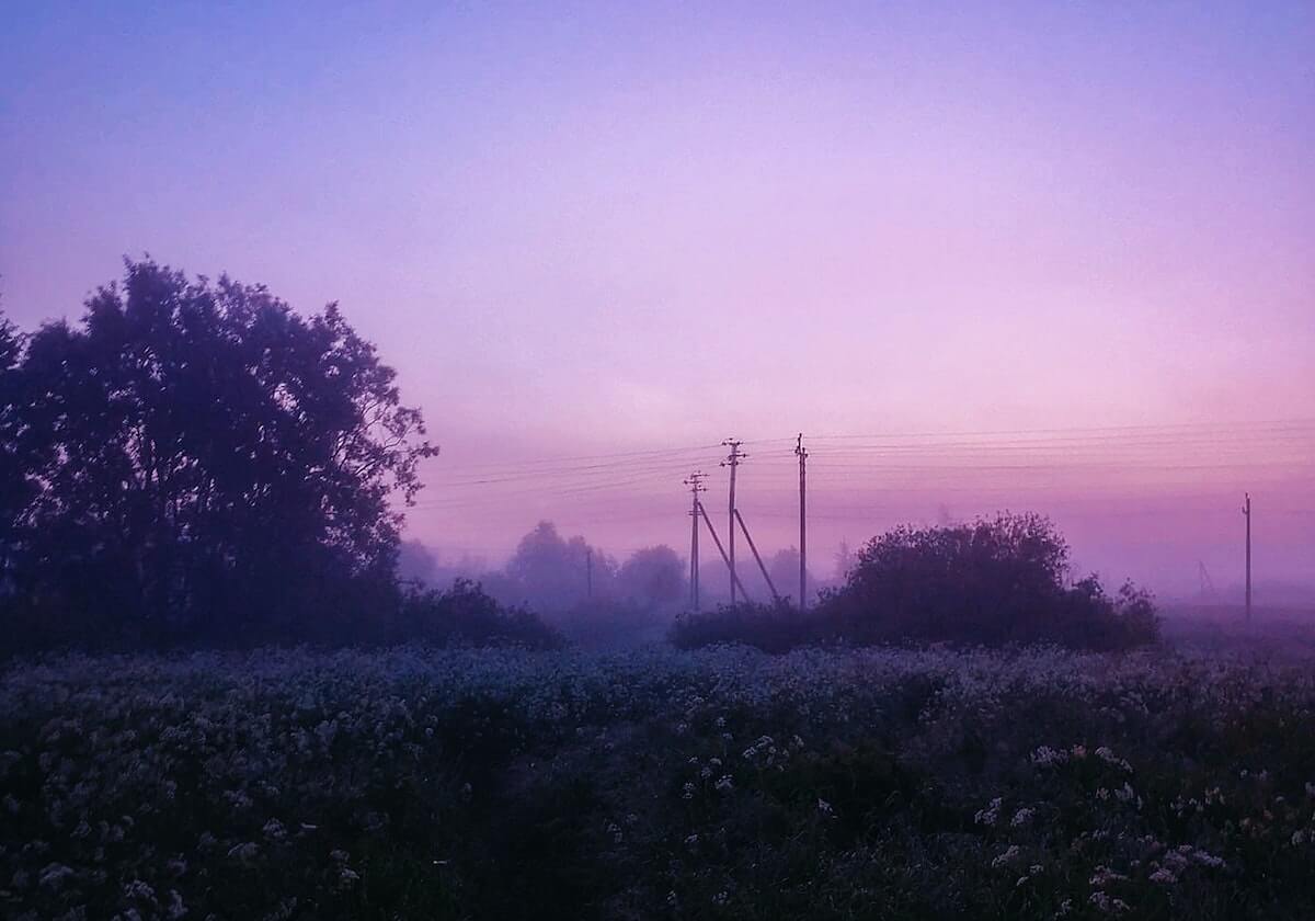 社会热议:小妲己直播引发风波 · 特辑4696