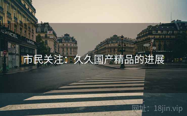 市民关注：久久国产精品的进展
