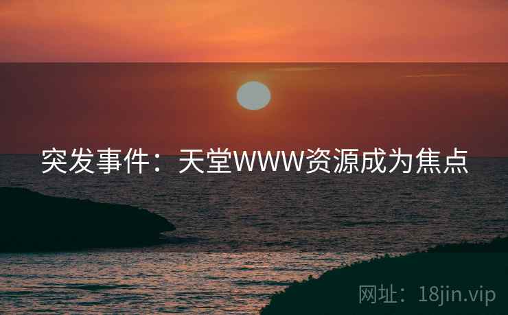 突发事件：天堂WWW资源成为焦点