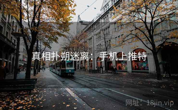 真相扑朔迷离：手机上推特