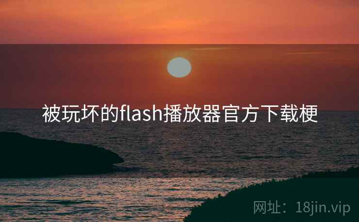被玩坏的flash播放器官方下载梗 被玩坏的flash播放器官方下载梗